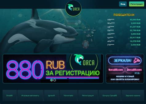 orca 88 казино